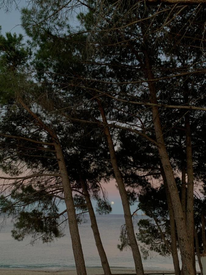 Appartamenti Supramonte Santa Maria Navarrese Exteriér fotografie